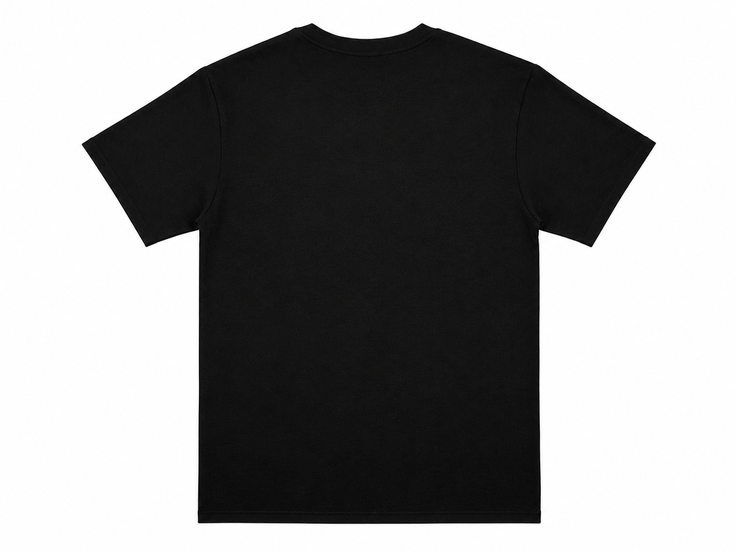 Official Face of the Bay - Ambassador for Change T-Shirt - Image 2